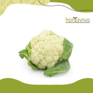 Couve-flor - unid