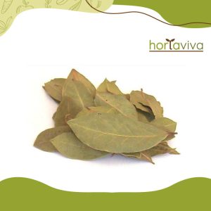 Folha de Louro - grama