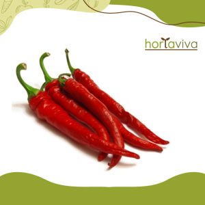 Pimenta dedo de moça - grama