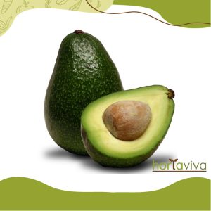 abacate- kg