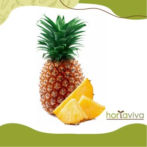 Abacaxi - Kg