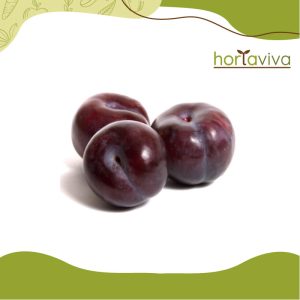 Ameixa Nacional - grama