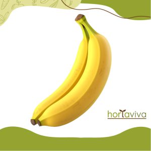 Banana da terra - kg
