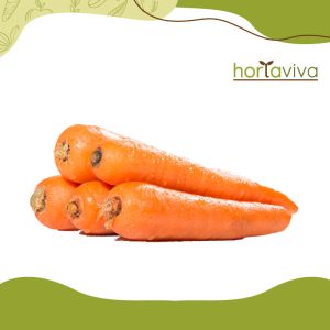 Cenoura - kg