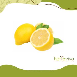 Limão siciliano - grama