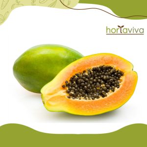 Mamão Hawaí - kg