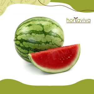 Melancia - kg