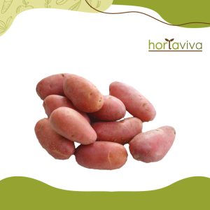 Batata fritura - kg