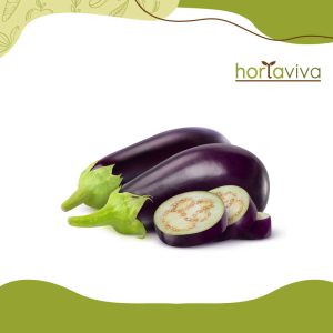 Berinjela - kg