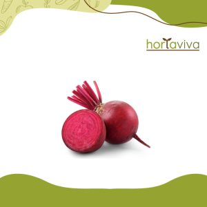 Beterraba - kg