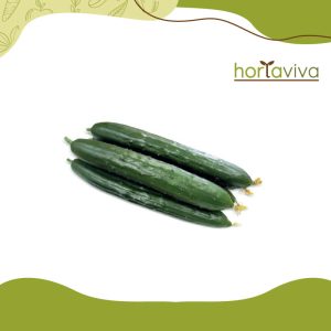 Pepino japonês - kg