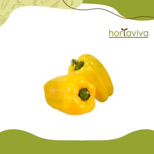 Pimentão amarelo - grama