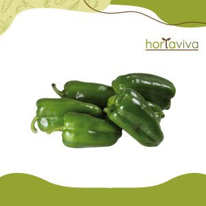 Pimentão verde - grama