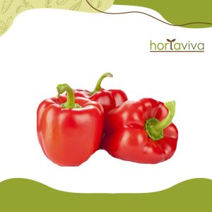 Pimentão vermelho - grama