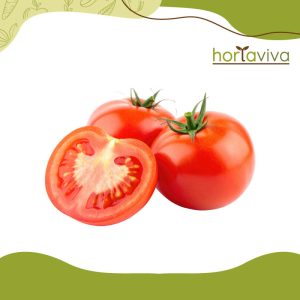 Tomate - kg