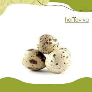 Ovos de codorna - bdj