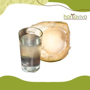 Água de coco - lt