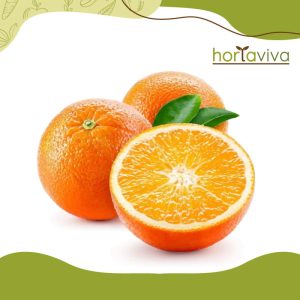 Laranja Bahia - kg