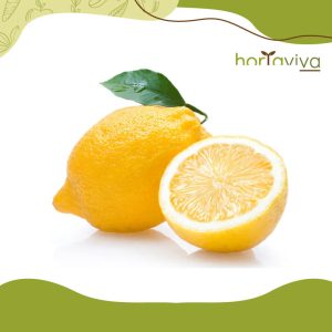 Lima da Pérsia - Grama